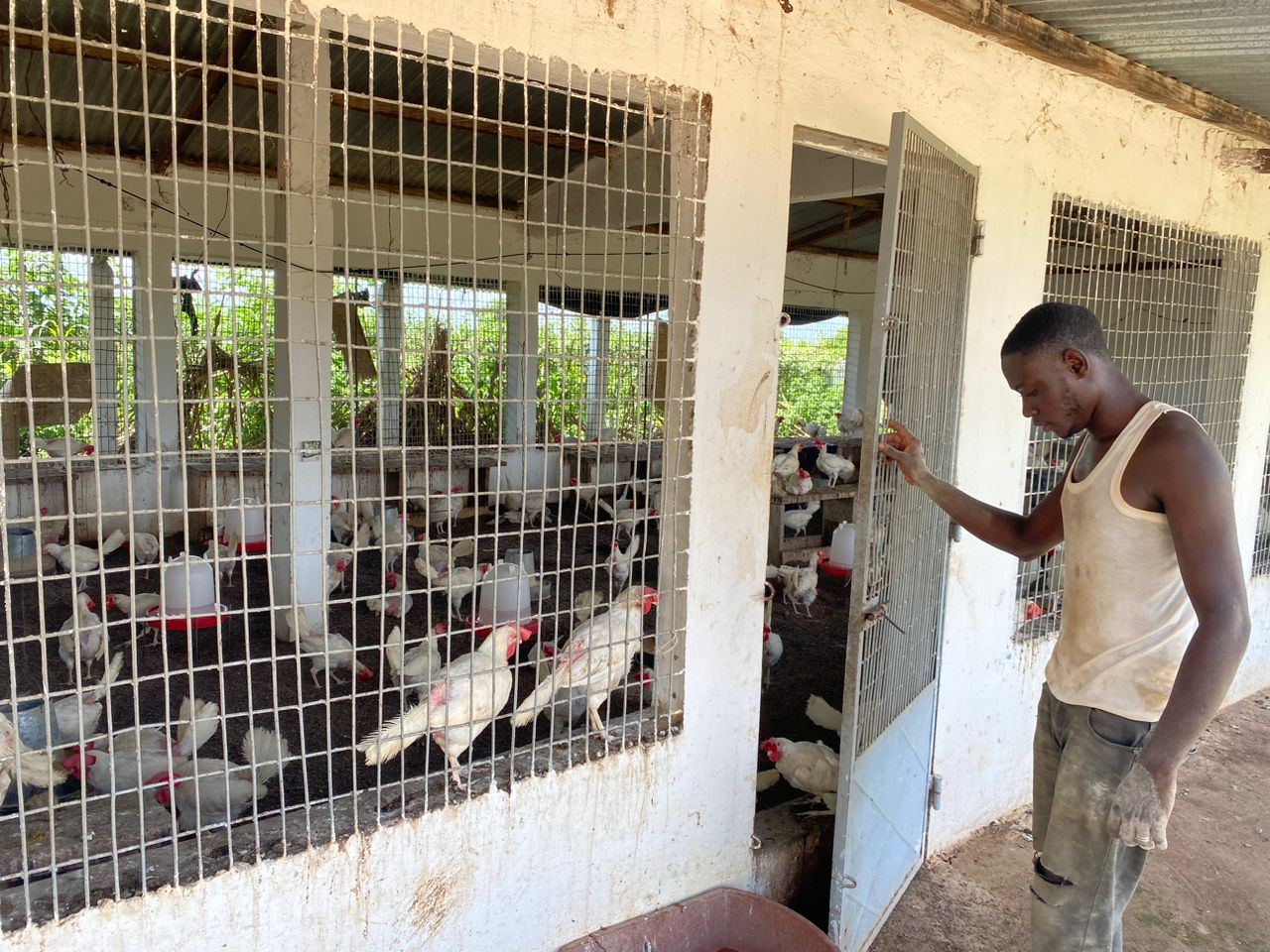 Vue générale de la ferme Keita
