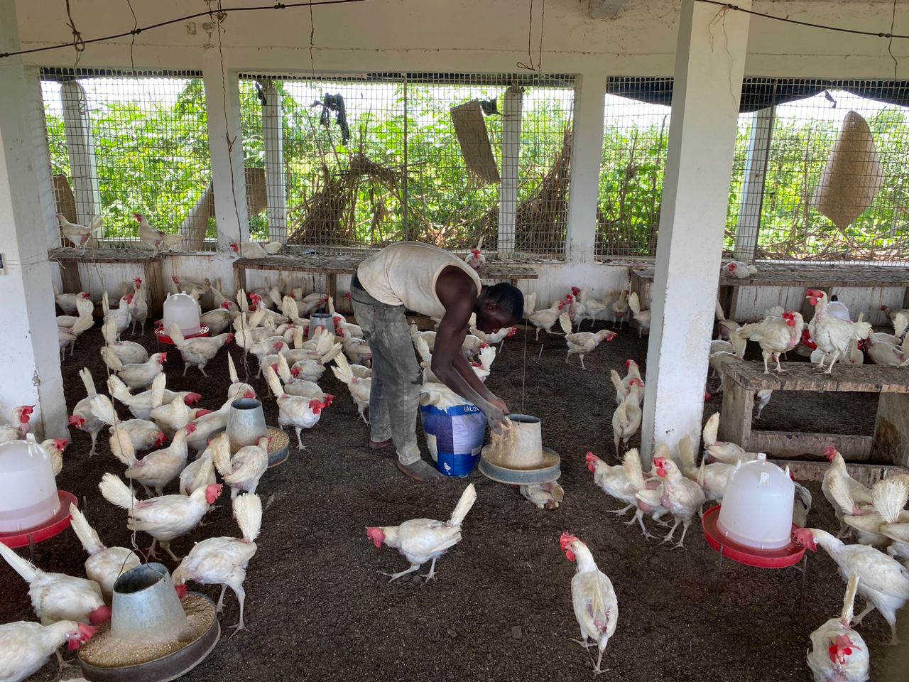 Vue générale de la ferme Keita