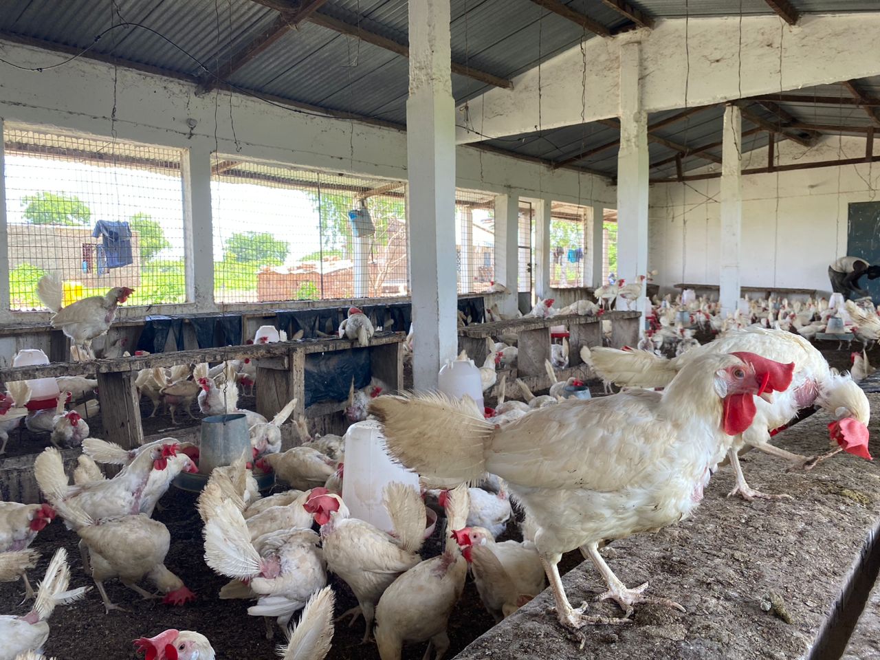 Vue générale de la ferme Keita